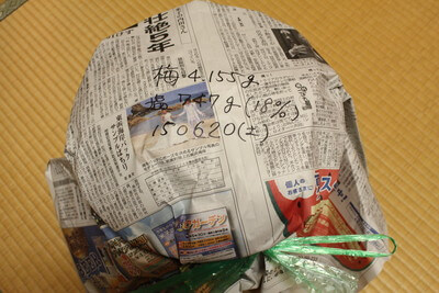 umeboshi0621 (11)