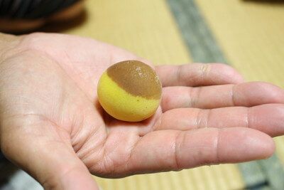 umeboshi0621 (9)