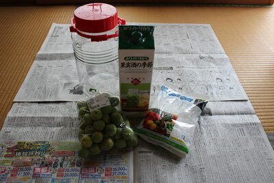 umeshu (1)