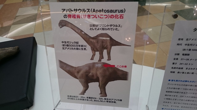 ブロントザウルス