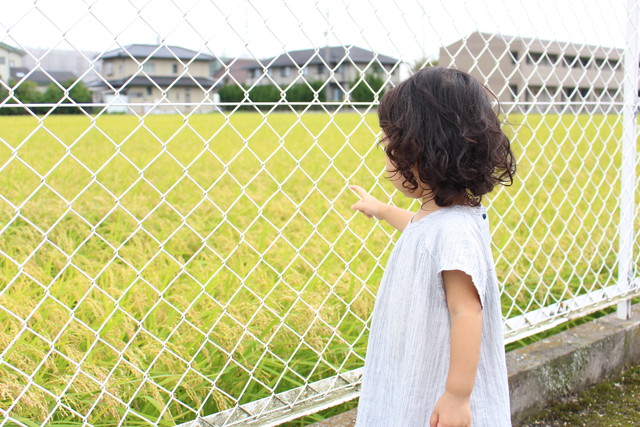 視線の先