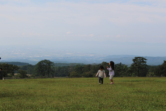 姉妹と野原