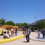 ゴールデンウィーク最終日、弁当持って子供たちと公園で遊んできた
