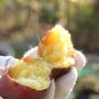 焚き火でホクホク甘い焼き芋を作る方法！ポイントは時間と水分？